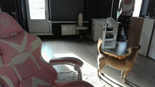 Gallery image thumbnail from Qi_ra's myfreecams stream on, 04/25/2026, 14:33 image 12 of 20