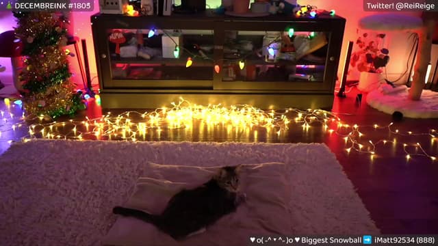 Gallery image thumbnail from Reige's myfreecams stream on, 12/09/2023, 11:08 image 2 of 20