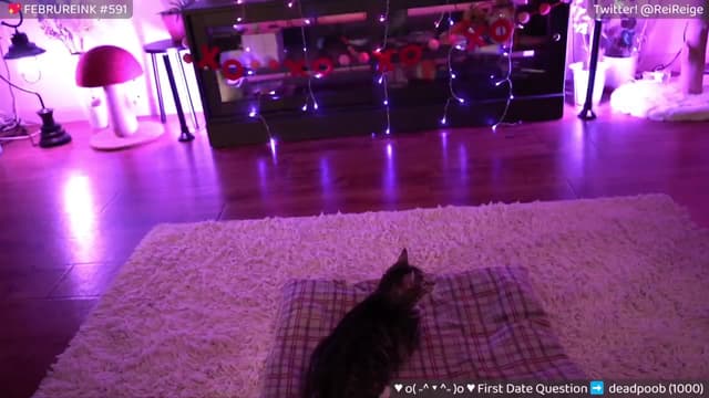 Gallery image thumbnail from Reige's myfreecams stream on, 02/03/2024, 12:37 image 7 of 20