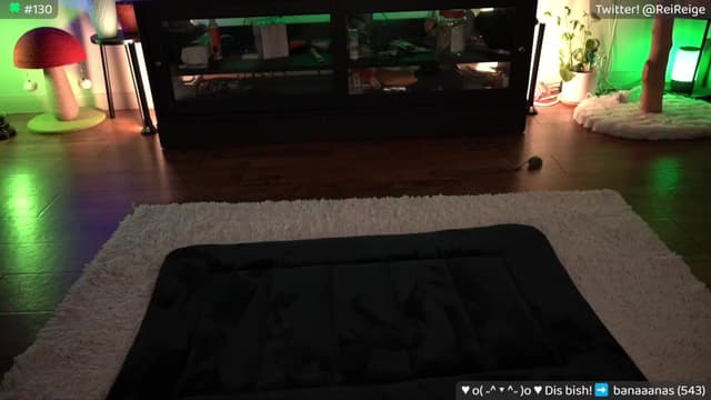 Gallery image thumbnail from Reige's myfreecams stream on, 03/17/2024, 10:40 image 16 of 20
