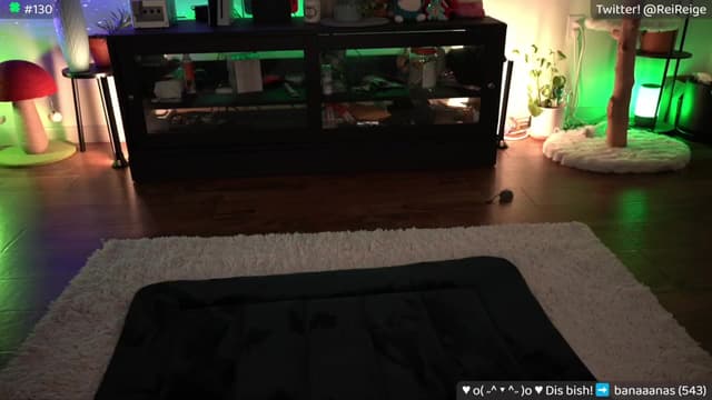 Gallery image thumbnail from Reige's myfreecams stream on, 03/17/2024, 10:40 image 17 of 20