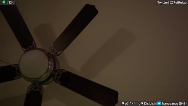 Gallery image thumbnail from Reige's myfreecams stream on, 03/17/2024, 12:02 image 15 of 20