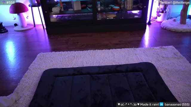 Gallery image thumbnail from Reige's myfreecams stream on, 04/06/2024, 08:55 image 20 of 20