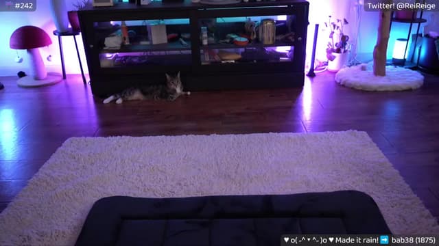 Gallery image thumbnail from Reige's myfreecams stream on, 04/06/2024, 12:57 image 3 of 20