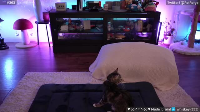 Gallery image thumbnail from Reige's myfreecams stream on, 04/16/2024, 06:31 image 10 of 20
