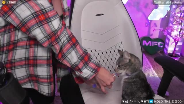Gallery image thumbnail from Reige's myfreecams stream on, 06/12/2024, 07:13 image 19 of 20