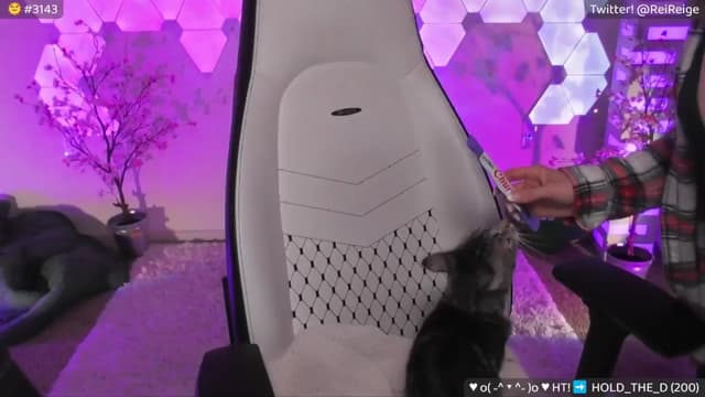 Gallery image thumbnail from Reige's myfreecams stream on, 06/12/2024, 07:13 image 15 of 20