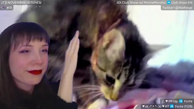 Gallery image thumbnail from Reige's myfreecams stream on, 11/26/2024, 14:27 image 4 of 20