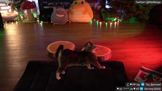 Gallery image thumbnail from Reige's myfreecams stream on, 12/06/2024, 13:29 image 6 of 20