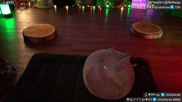 Gallery image thumbnail from Reige's myfreecams stream on, 12/11/2024, 10:10 image 13 of 20