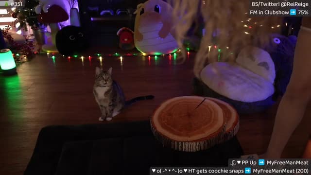 Gallery image thumbnail from Reige's myfreecams stream on, 12/26/2024, 12:01 image 5 of 20