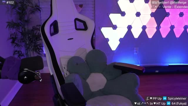 Gallery image thumbnail from Reige's myfreecams stream on, 04/29/2025, 10:41 image 4 of 20