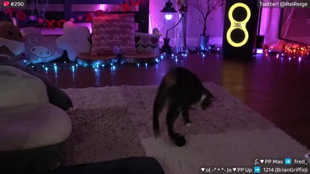 Gallery image thumbnail from Reige's myfreecams stream on, 02/10/2026, 12:36 image 11 of 20