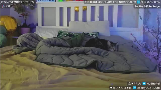 Gallery image thumbnail from Reive's myfreecams stream on, 11/25/2024, 21:35 image 18 of 20
