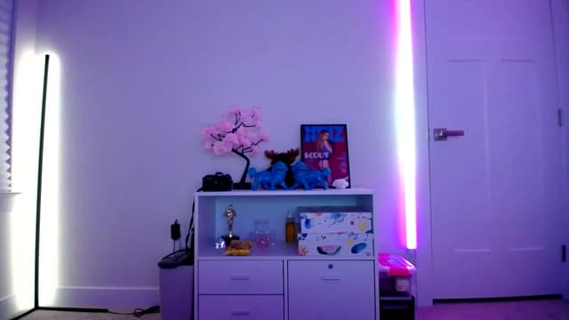 Gallery image thumbnail from Scout's myfreecams stream on, 12/31/2022, 06:18 image 12 of 20