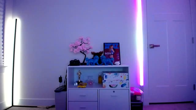 Gallery image thumbnail from Scout's myfreecams stream on, 12/31/2022, 06:18 image 13 of 20
