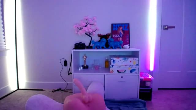 Gallery image thumbnail from Scout's myfreecams stream on, 01/03/2023, 05:05 image 10 of 20