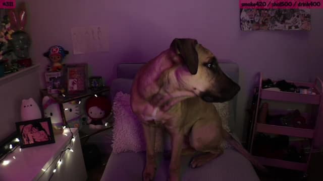 Gallery image thumbnail from SeySo's myfreecams stream on, 04/27/2023, 01:17 image 5 of 20