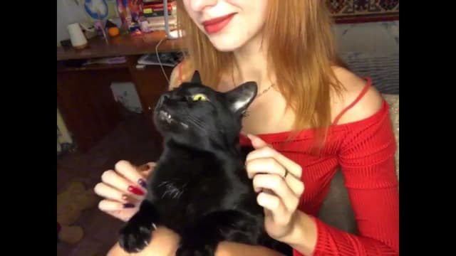 Gallery image thumbnail from Sia_A's myfreecams stream on, 11/01/2024, 13:07 image 19 of 20