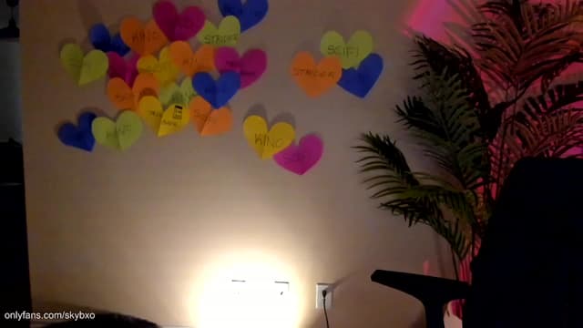 Gallery image thumbnail from SkyB_'s myfreecams stream on, 02/03/2023, 03:37 image 6 of 20