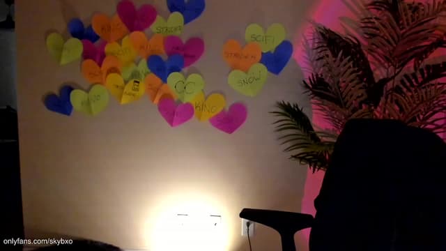 Gallery image thumbnail from SkyB_'s myfreecams stream on, 02/03/2023, 03:37 image 7 of 20