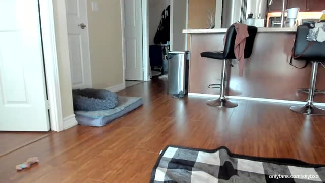 Gallery image thumbnail from SkyB_'s myfreecams stream on, 06/01/2023, 22:52 image 12 of 20