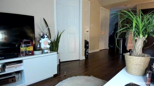 Gallery image thumbnail from SkyB_'s myfreecams stream on, 08/06/2023, 03:25 image 10 of 20