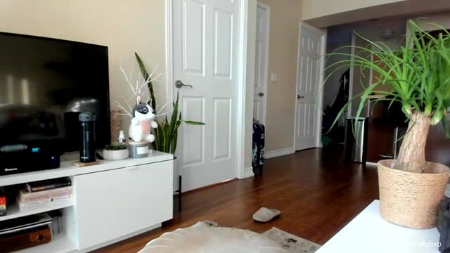 Gallery image thumbnail from SkyB_'s myfreecams stream on, 08/10/2023, 24:33 image 6 of 20