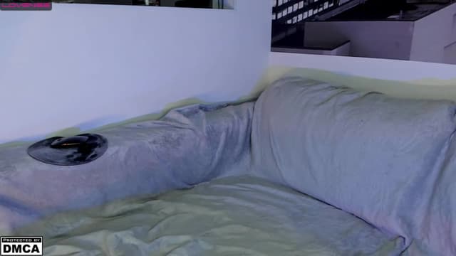 Gallery image thumbnail from SonMi's myfreecams stream on, 03/24/2023, 14:27 image 7 of 20