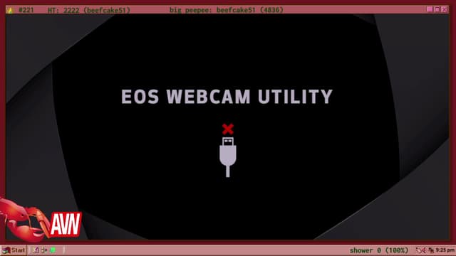 Gallery image thumbnail from TERRA's myfreecams stream on, 01/08/2023, 03:54 image 11 of 20