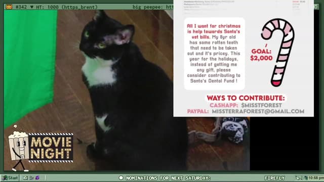 Gallery image thumbnail from TERRA's myfreecams stream on, 01/15/2023, 04:17 image 7 of 20