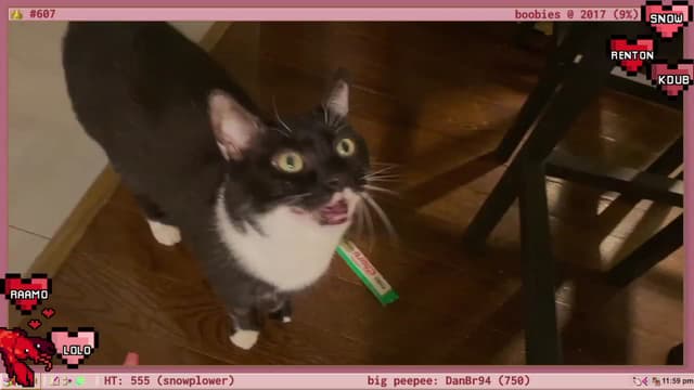 Gallery image thumbnail from TERRA's myfreecams stream on, 02/03/2023, 05:03 image 18 of 20
