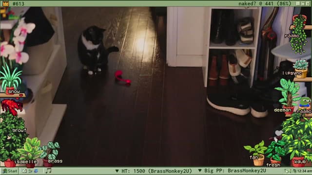Gallery image thumbnail from TERRA's myfreecams stream on, 06/10/2023, 04:57 image 4 of 20
