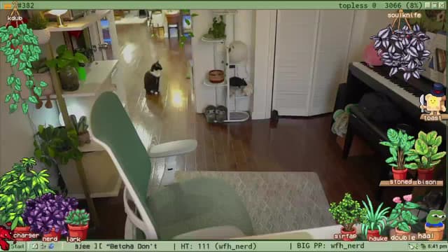 Gallery image thumbnail from TERRA's myfreecams stream on, 09/19/2024, 23:07 image 6 of 20