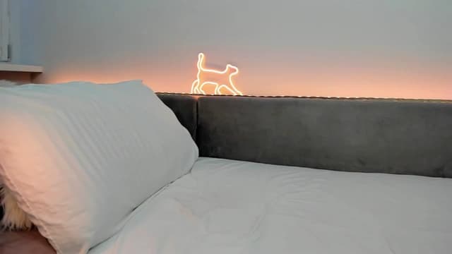 Gallery image thumbnail from Tenar's myfreecams stream on, 05/03/2026, 21:42 image 19 of 20
