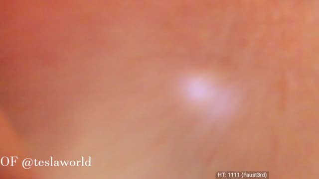 Gallery image thumbnail from Tesla's myfreecams stream on, 12/09/2022, 06:20 image 19 of 20