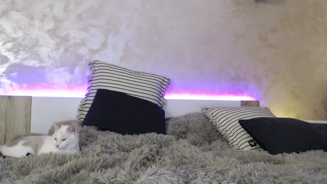 Gallery image thumbnail from Vikki's myfreecams stream on, 12/13/2023, 01:48 image 2 of 20