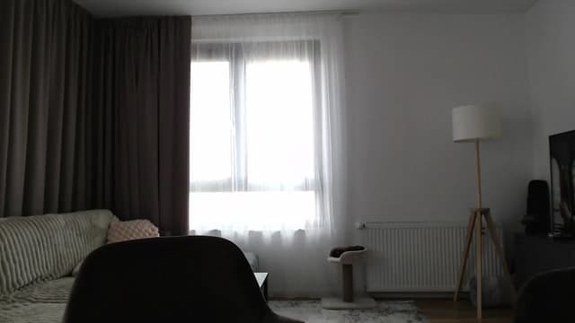 Gallery image thumbnail from Vikki's myfreecams stream on, 06/07/2024, 12:26 image 5 of 20