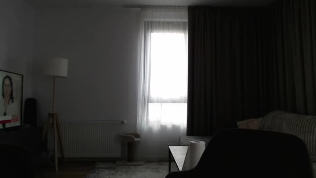 Gallery image thumbnail from Vikki's myfreecams stream on, 06/24/2024, 12:24 image 3 of 20