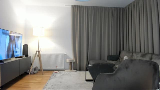 Gallery image thumbnail from Vikki's myfreecams stream on, 10/20/2024, 01:30 image 8 of 20