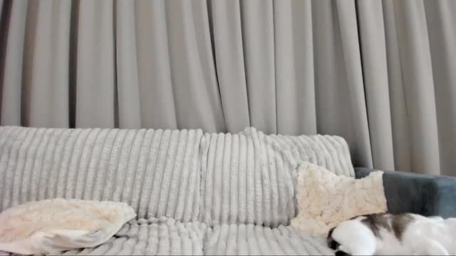 Gallery image thumbnail from Vikki's myfreecams stream on, 12/10/2024, 01:50 image 19 of 20