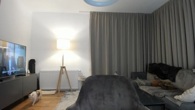 Gallery image thumbnail from Vikki's myfreecams stream on, 02/28/2025, 24:13 image 17 of 20