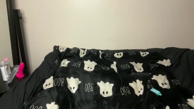 Gallery image thumbnail from bec69's myfreecams stream on, 04/15/2026, 03:59 image 4 of 20