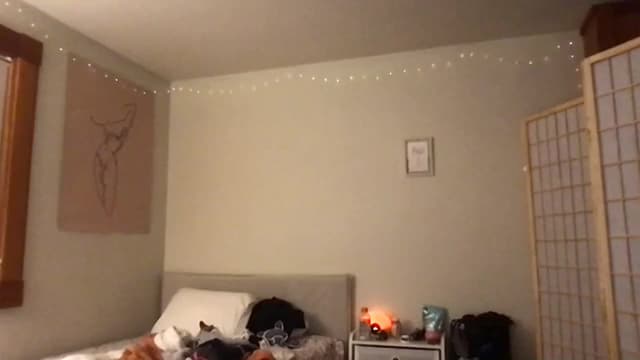 Gallery image thumbnail from clara's myfreecams stream on, 02/11/2024, 05:23 image 17 of 20