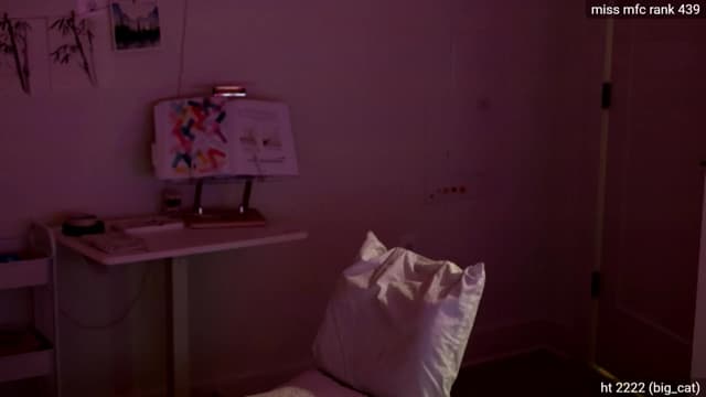 Gallery image thumbnail from dais_'s myfreecams stream on, 07/05/2025, 05:40 image 8 of 20