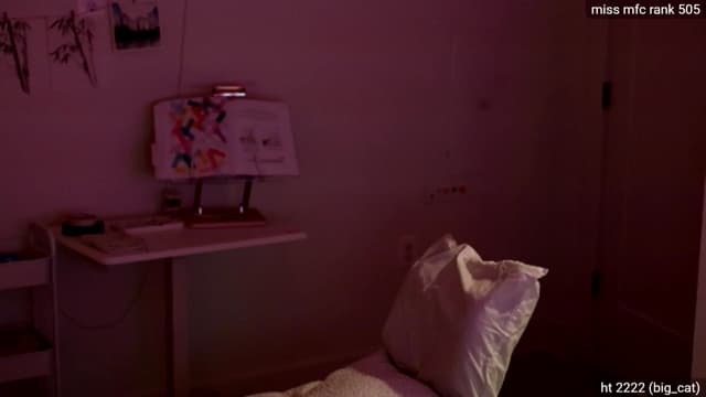Gallery image thumbnail from dais_'s myfreecams stream on, 07/05/2025, 05:40 image 2 of 20