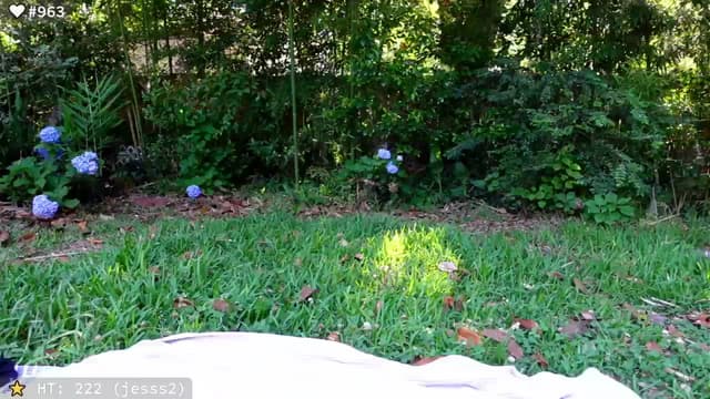 Gallery image thumbnail from el_xo's myfreecams stream on, 05/24/2025, 20:54 image 19 of 20
