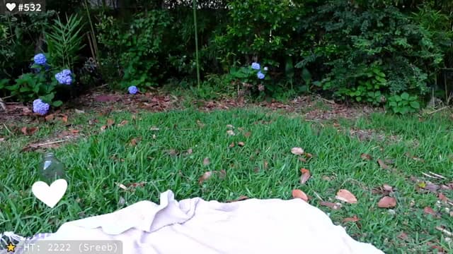 Gallery image thumbnail from el_xo's myfreecams stream on, 05/24/2025, 23:24 image 6 of 20