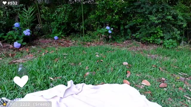 Gallery image thumbnail from el_xo's myfreecams stream on, 05/24/2025, 23:24 image 8 of 20