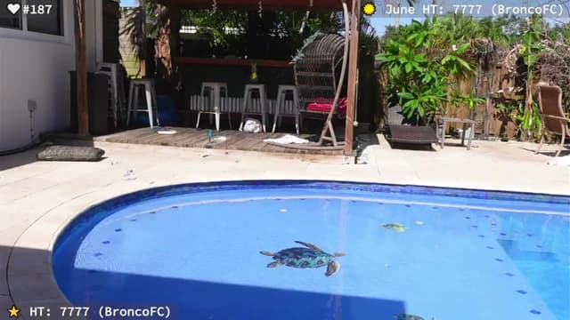 Gallery image thumbnail from el_xo's myfreecams stream on, 06/14/2025, 21:16 image 8 of 20
